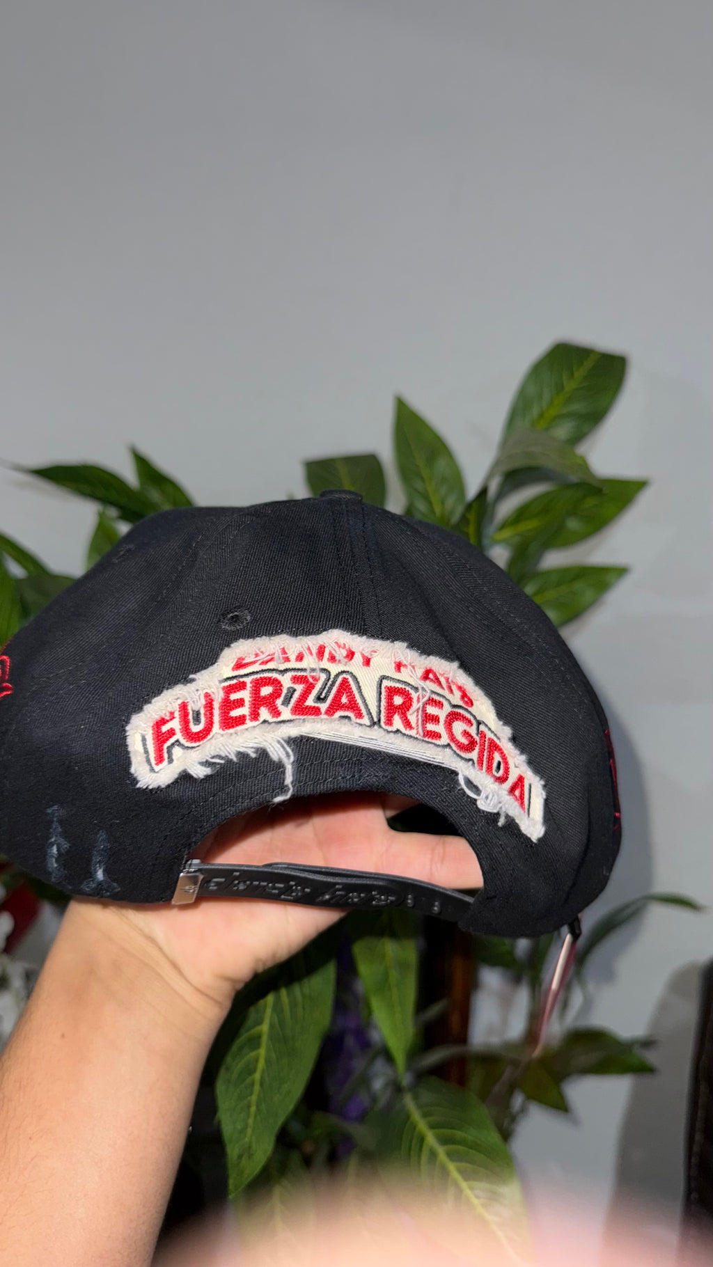 Dandy x FUERZA REGIDA