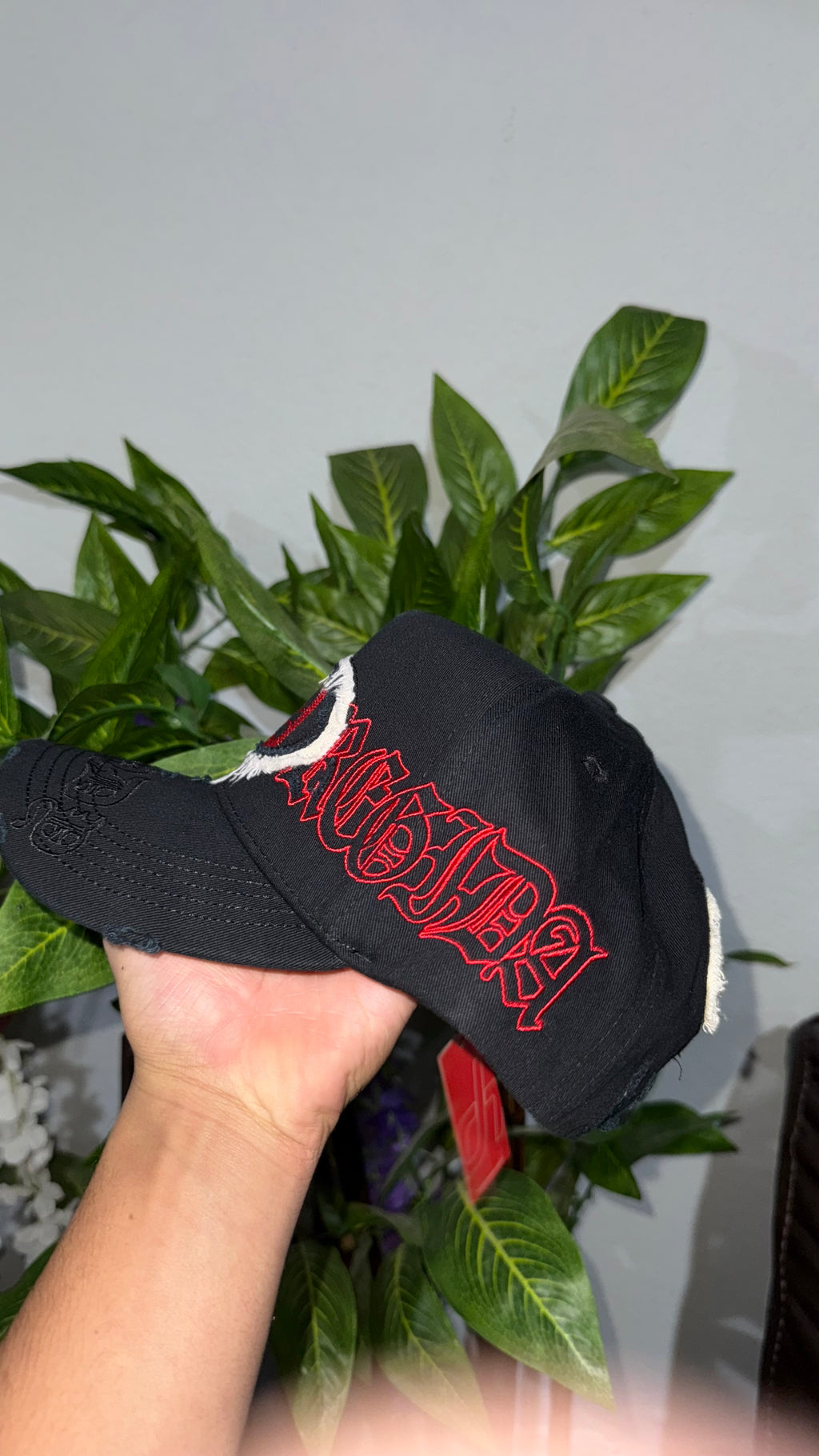 Dandy x FUERZA REGIDA