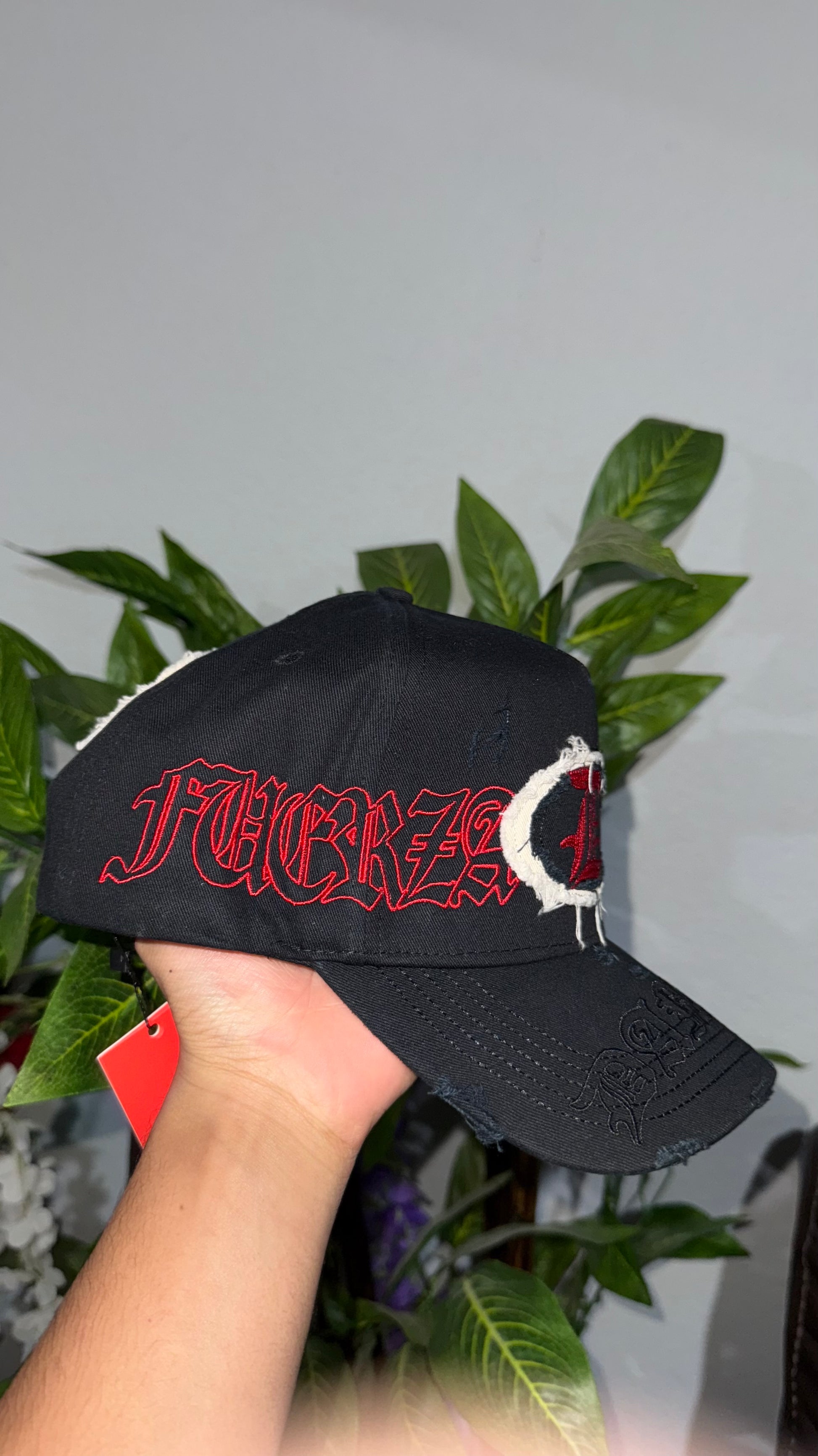 Dandy x FUERZA REGIDA