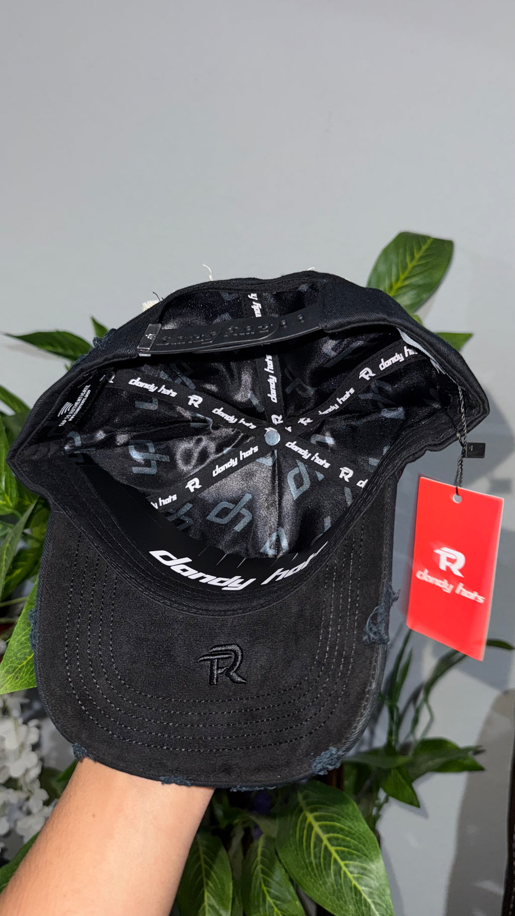 Dandy x FUERZA REGIDA