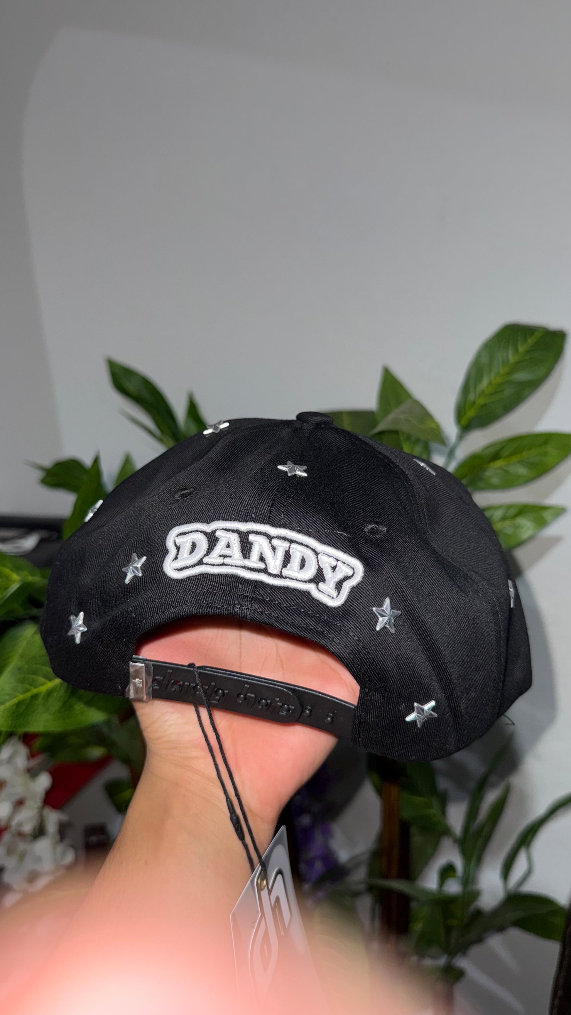 Dandy Hats STARS & STUDS