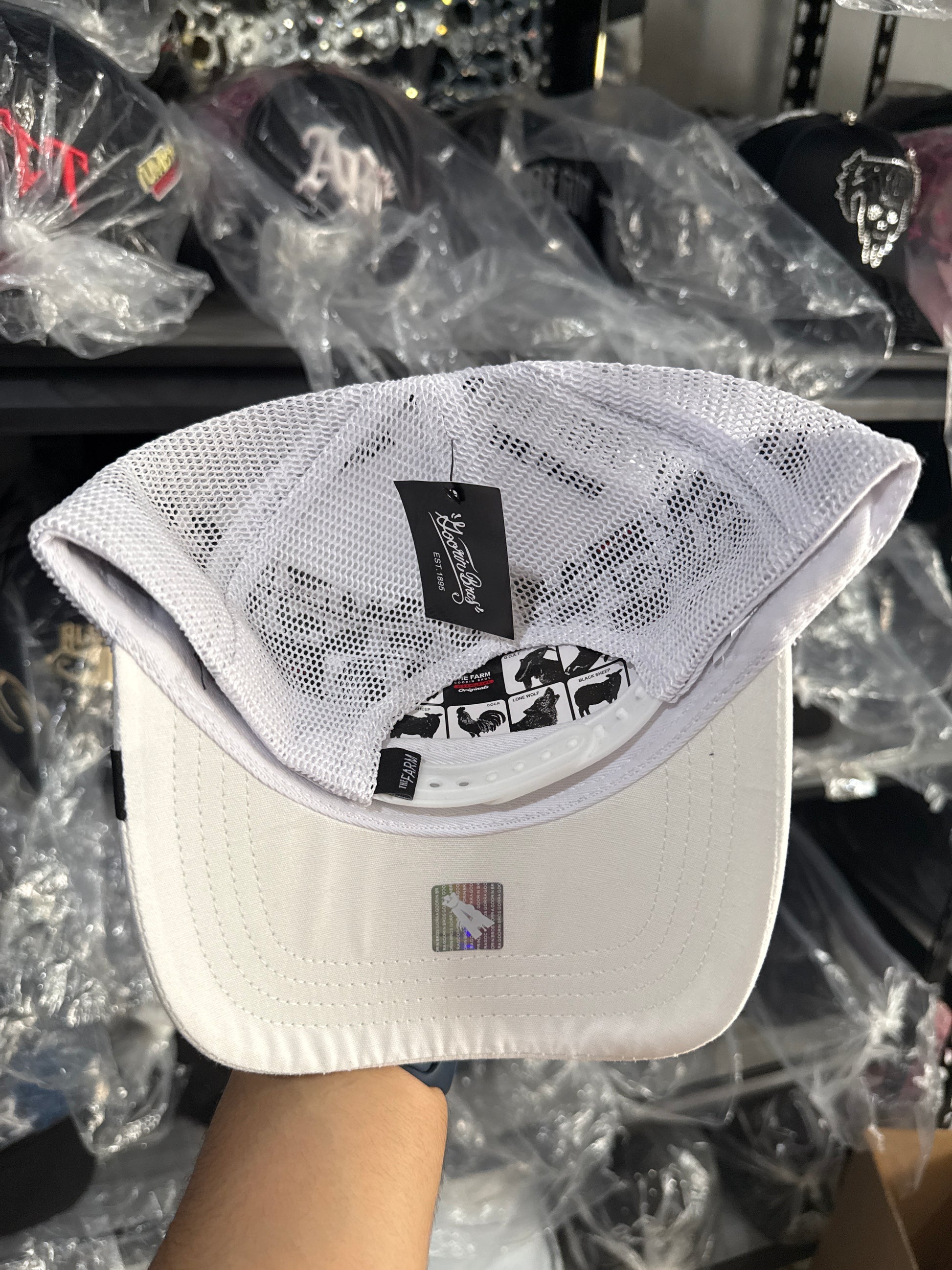 Goorin bros- tiger white