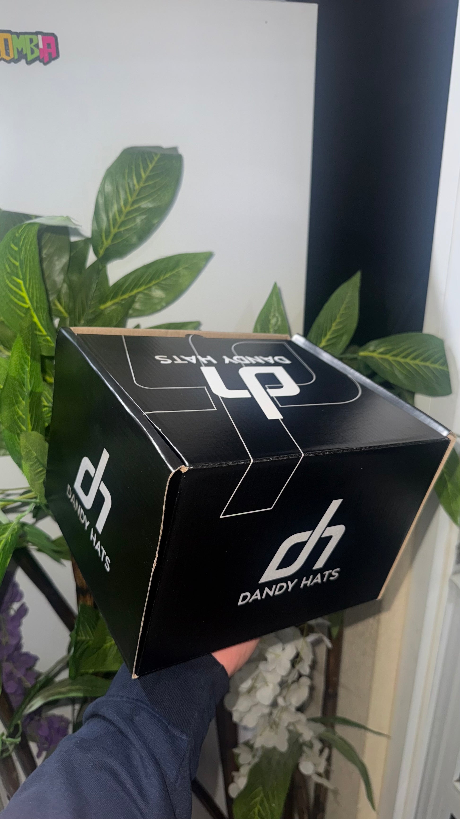 Caja Fullset Dandy Hats