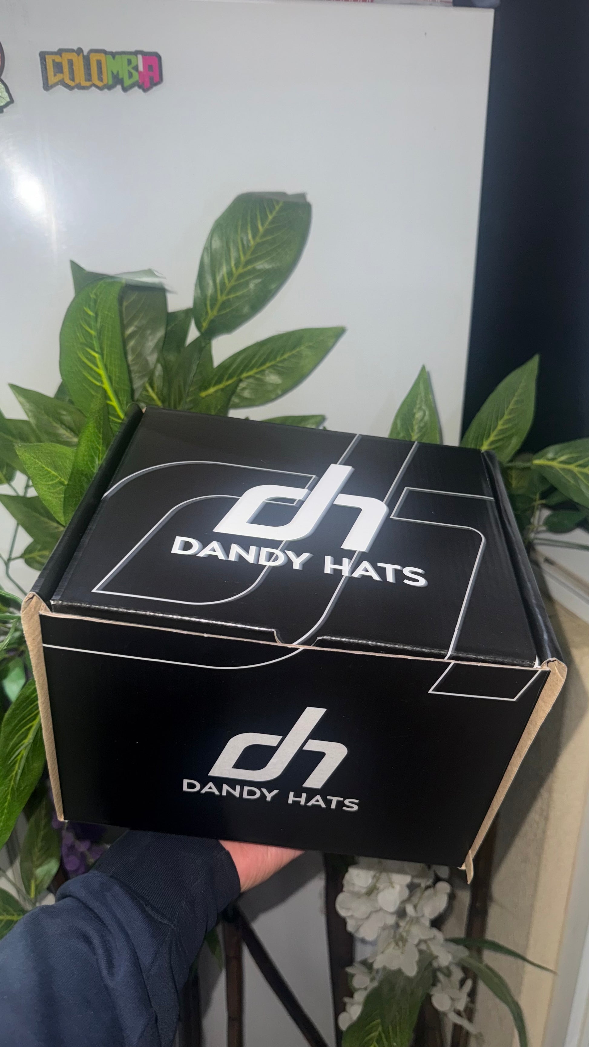 Caja Fullset Dandy Hats
