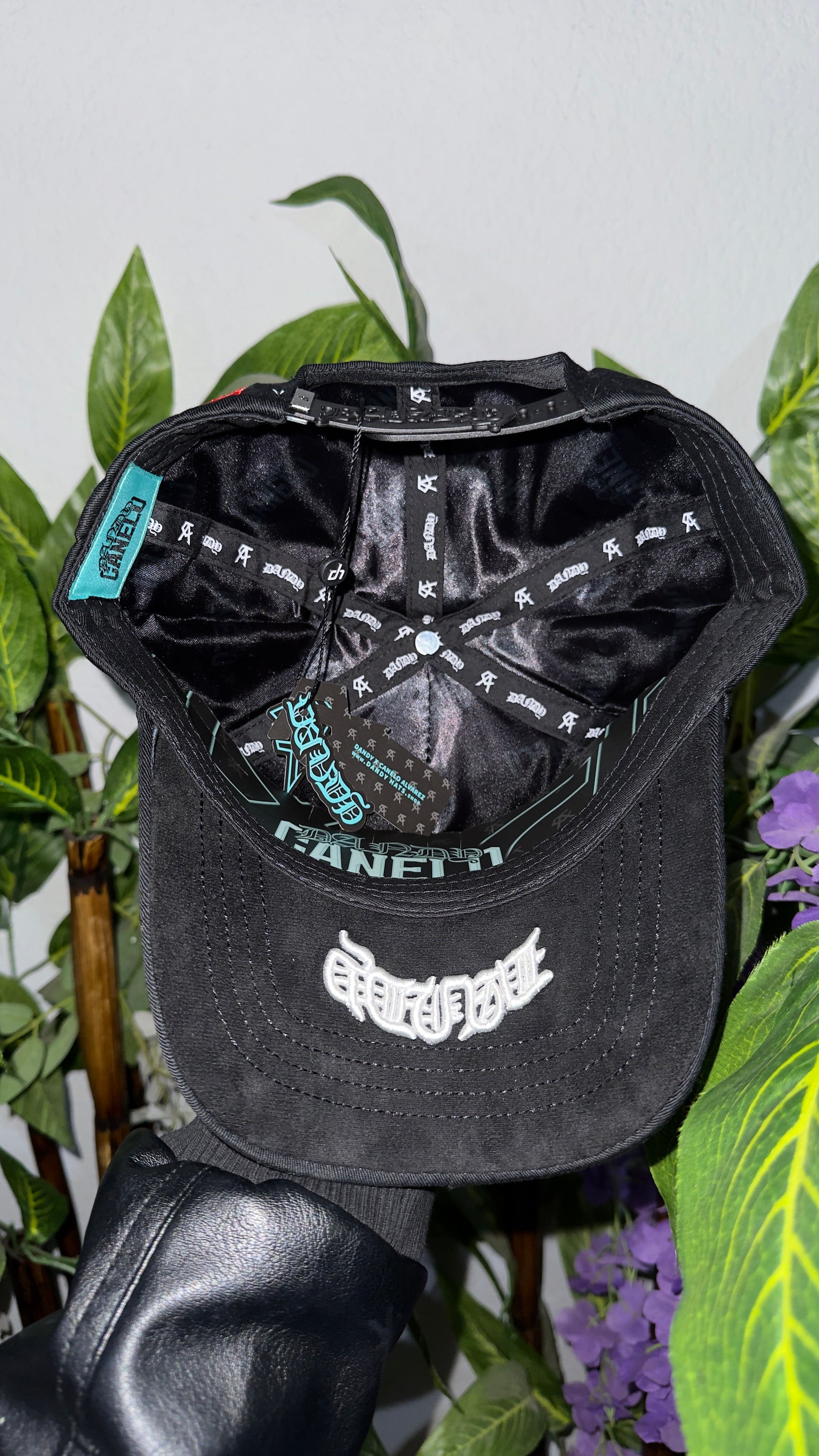 DANDY HATS X CANELO UNDISPUTED